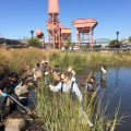 Engaging the Bronx Community: How Environmental Groups in Bronx, NY Make a Difference