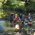 Collaborating for a Greener Bronx: How Environmental Groups in the Bronx, NY Work Together