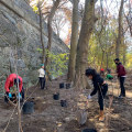 Exploring Environmental Groups in Bronx, NY