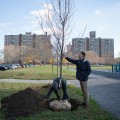 Funding Environmental Initiatives and Projects in Bronx, NY