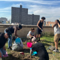 The Vital Role of Environmental Groups in Promoting Sustainable Practices in Bronx, NY