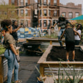 The Impact of Environmental Groups in Bronx, NY