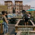 The Challenges Faced by Environmental Groups in Bronx, NY