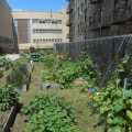 Exploring Environmental Education Programs Offered by Groups in Bronx, NY