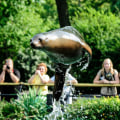 Environmental Groups in Bronx, NY: Protecting Wildlife and Natural Habitats