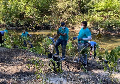 Exploring Volunteer Opportunities with Environmental Groups in Bronx, NY