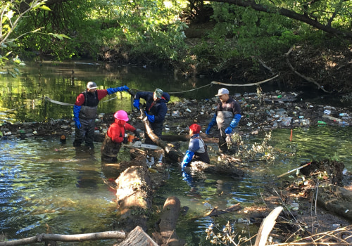Environmental Groups in Bronx, NY: Protecting Water Sources and Promoting Clean Water