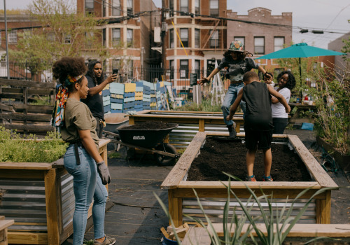 The Impact of Environmental Groups in Bronx, NY