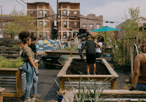 The Challenges Faced by Environmental Groups in Bronx, NY
