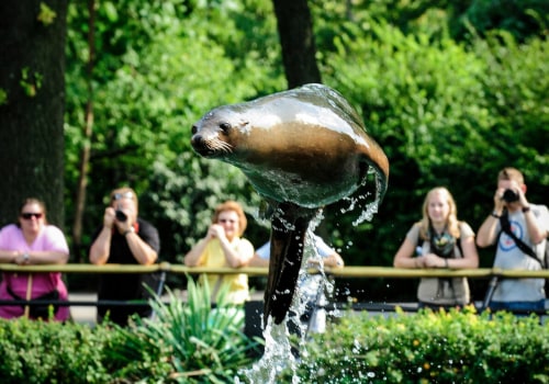 Environmental Groups in Bronx, NY: Protecting Wildlife and Natural Habitats